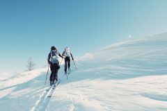 tete-de-Pelevos-2-scaled