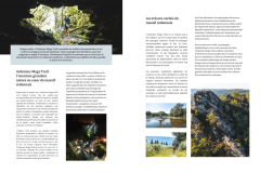 Ardennes Mega Trail 2026
