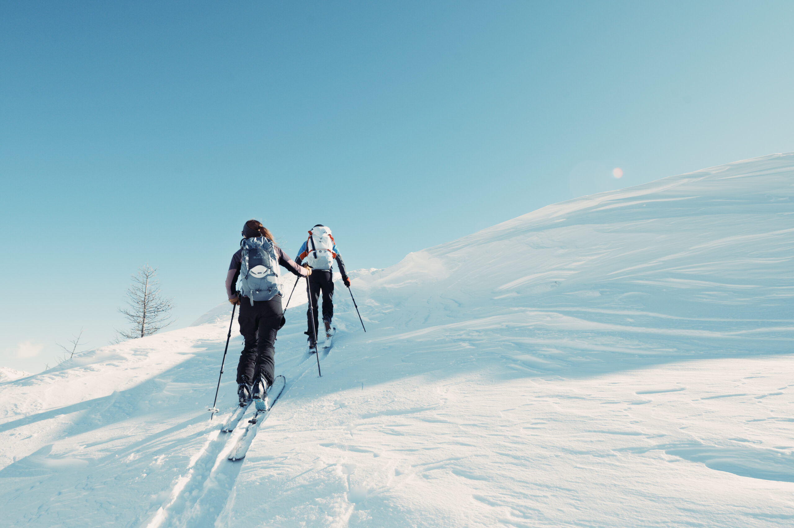 Accueil tête de pelevos 2